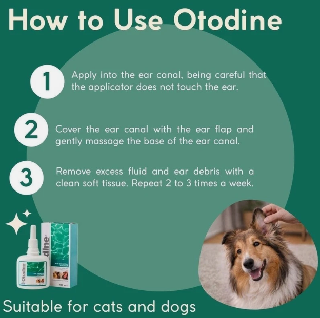 Otodine Ear Cleansing Solution 100ml