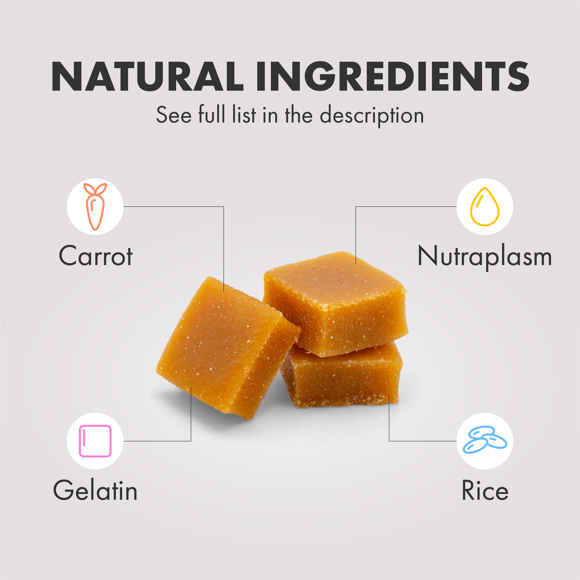 Multi-fit Gummy Dog Multivitamins