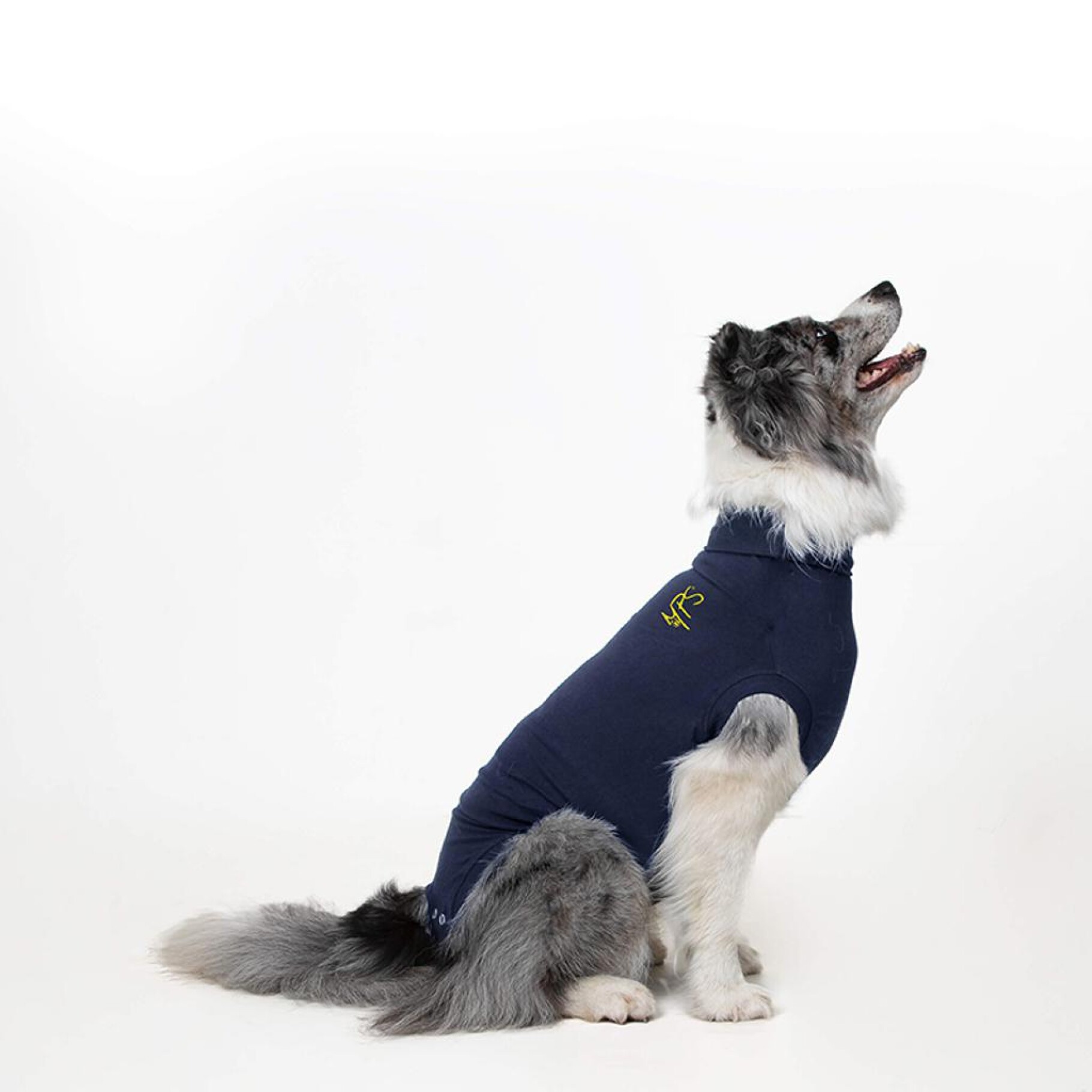 Medical Pet Shirt for Dogs