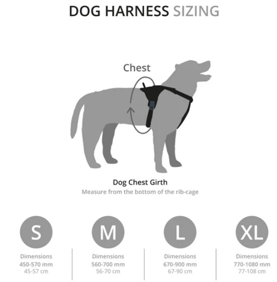 Dog Harness