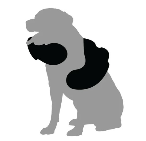 Muddy Dog Towel
