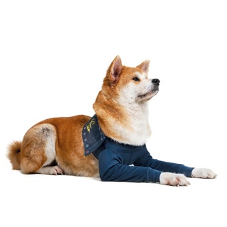 Protective Sleeve Double Front Leg  Dog