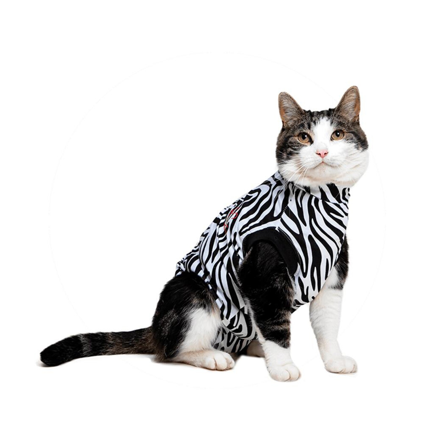 Medical Pet Shirts for Cats