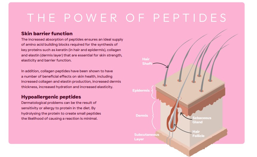 Peptide PLUS Skin and Coat care dog food