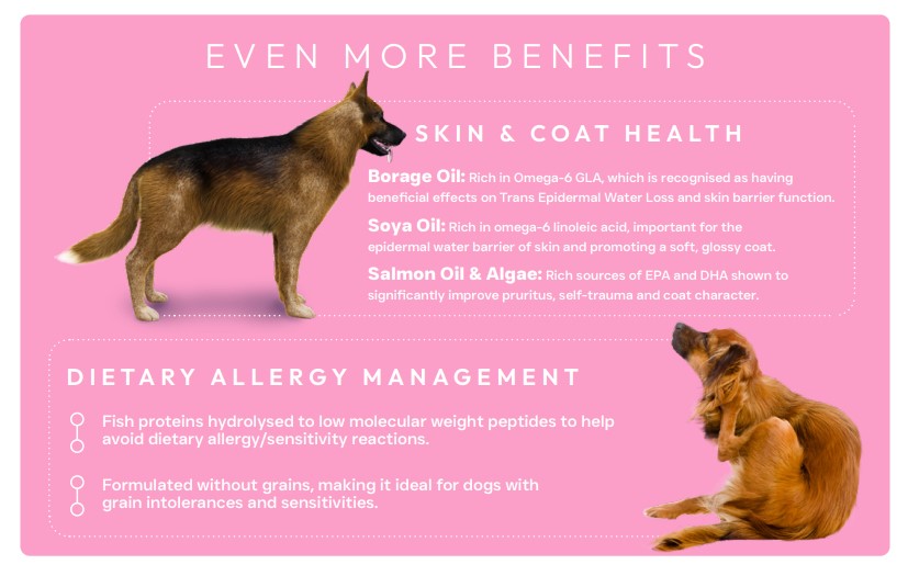 Peptide PLUS Skin and Coat care dog food