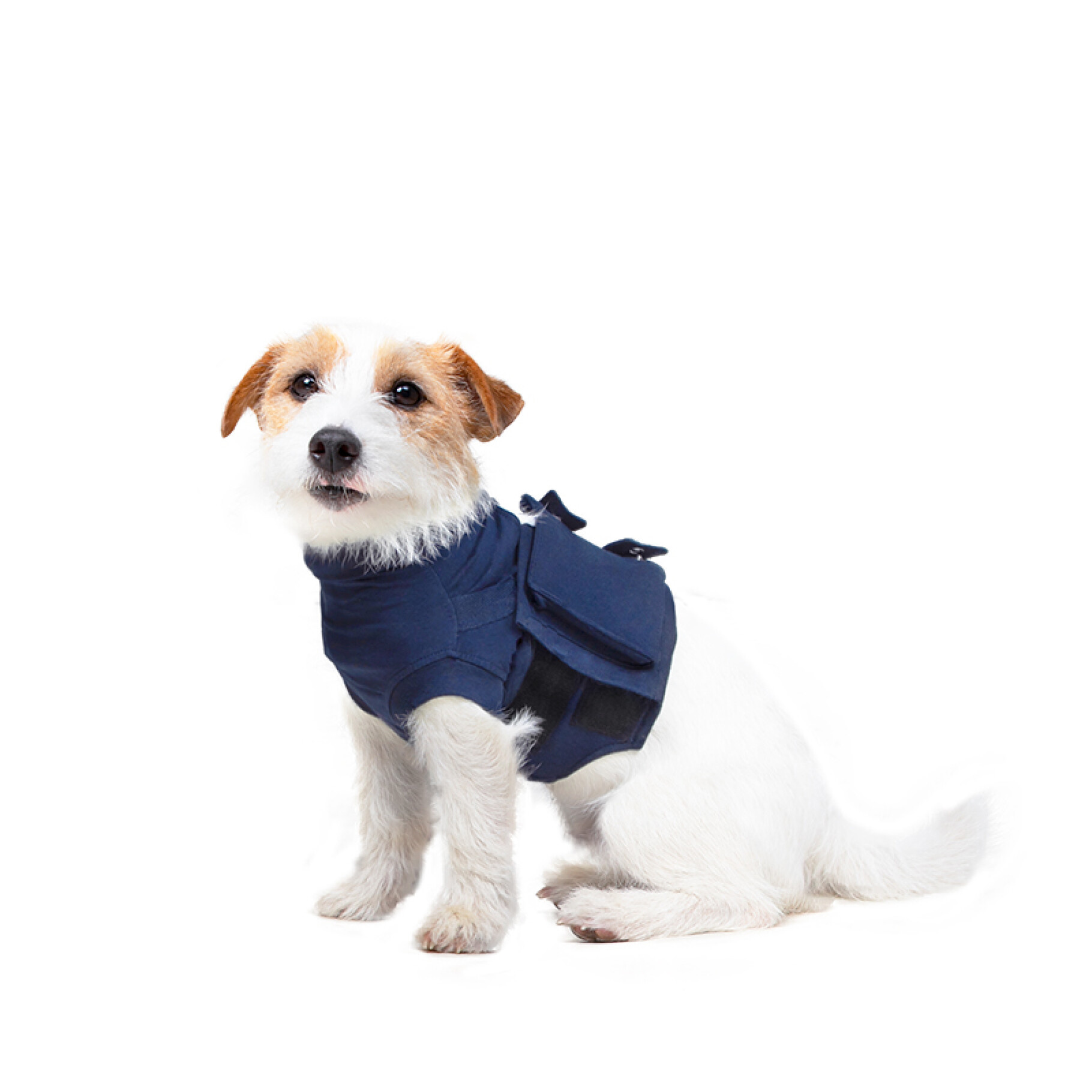 MPS Protective Topshirt 4in1 for Dogs