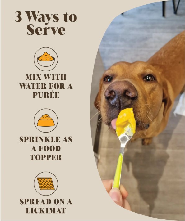 Pumpkin Probiotic Meal Topper