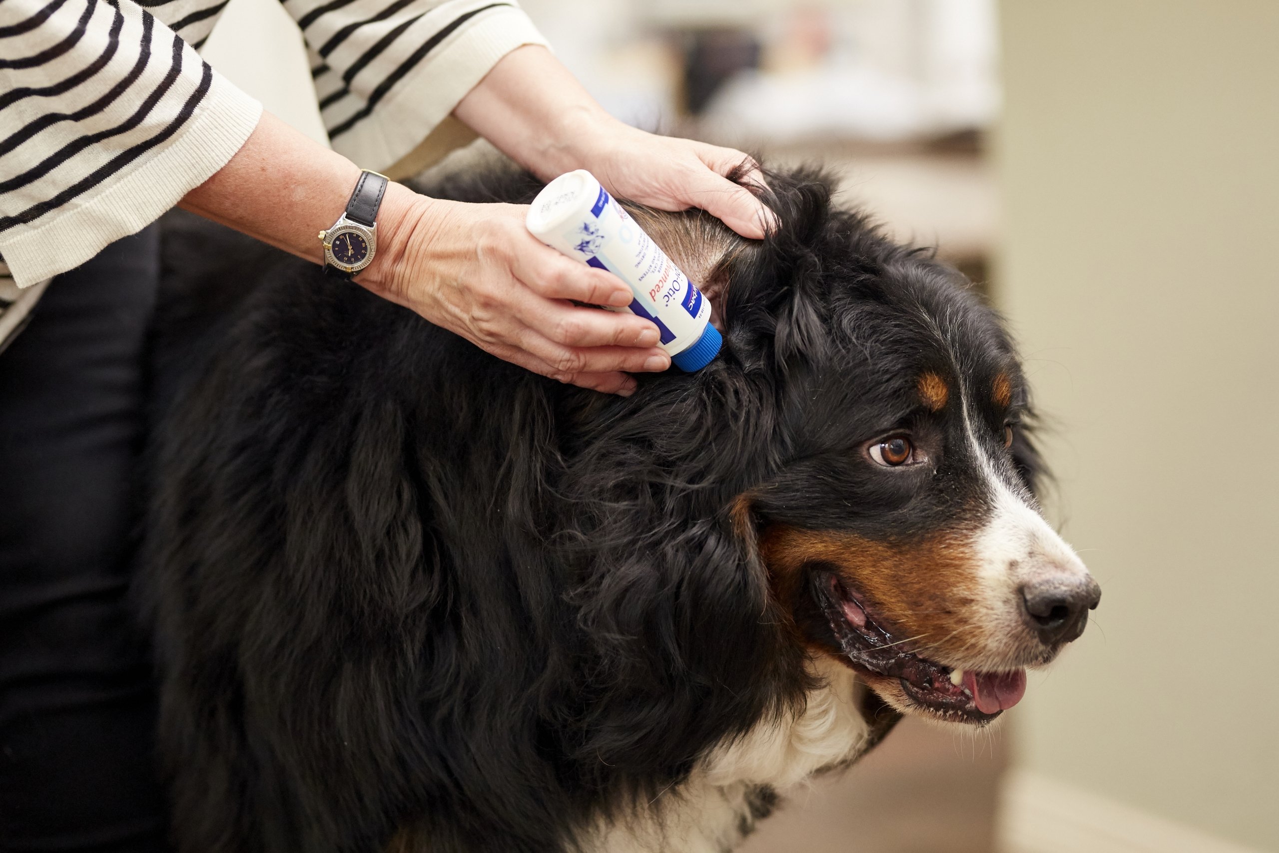 EpiOtic Ear Cleaner