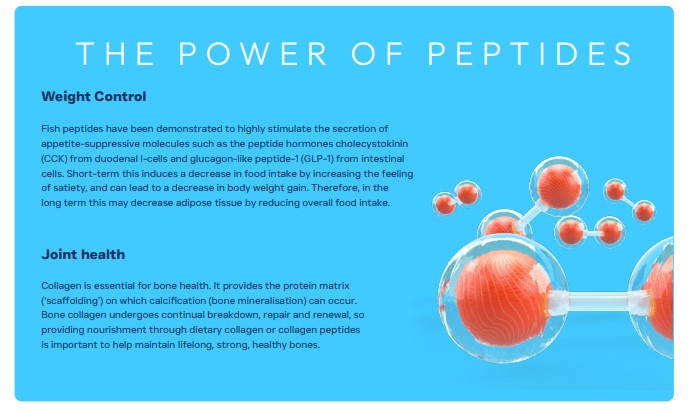 Peptide PLUS Weight and Joint control dog food