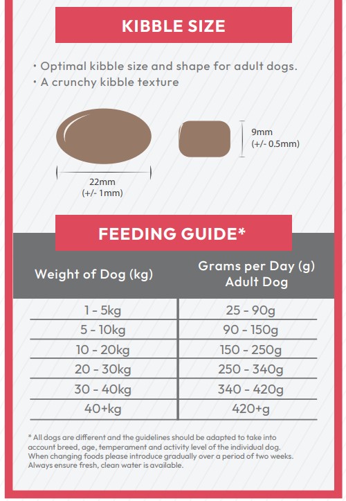 Merlin Vet Salmon & Trout Skin Soothe Adult Dog Food