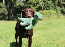 Plush Nessie Squeak-Crinkle 13"