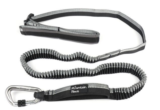 Shock Absorber Dog Lead