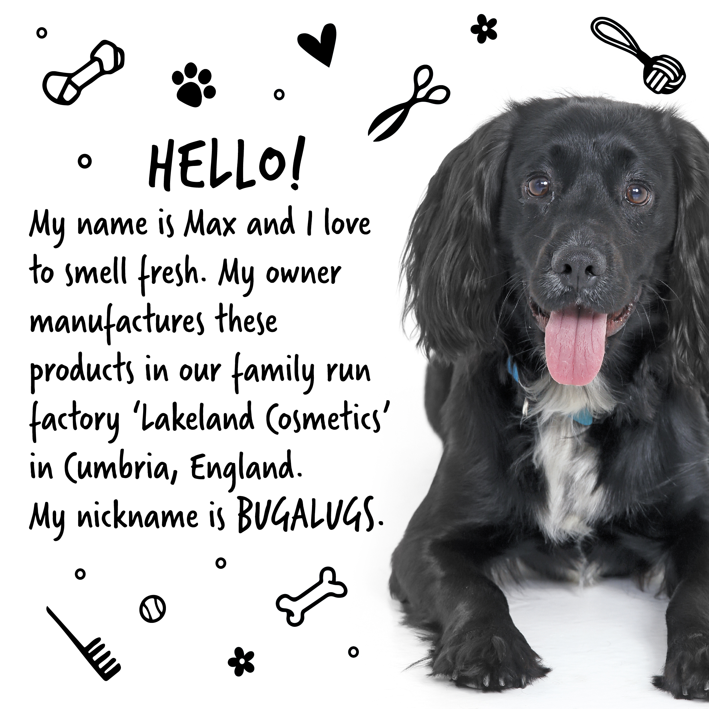 Bugalugs 4 In 1 (Lavender & Chamomile) Dog Shampoo 250m