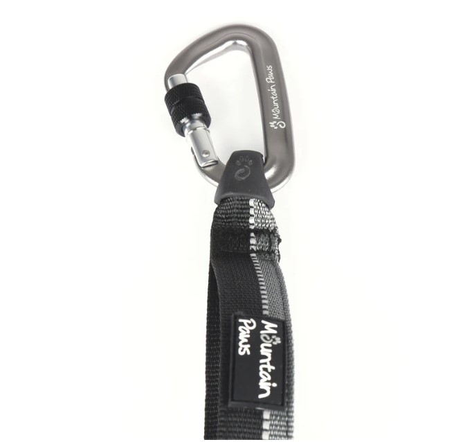 Shock Absorber Dog Lead