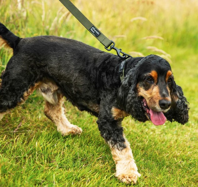 Extra Tough Dog Lead