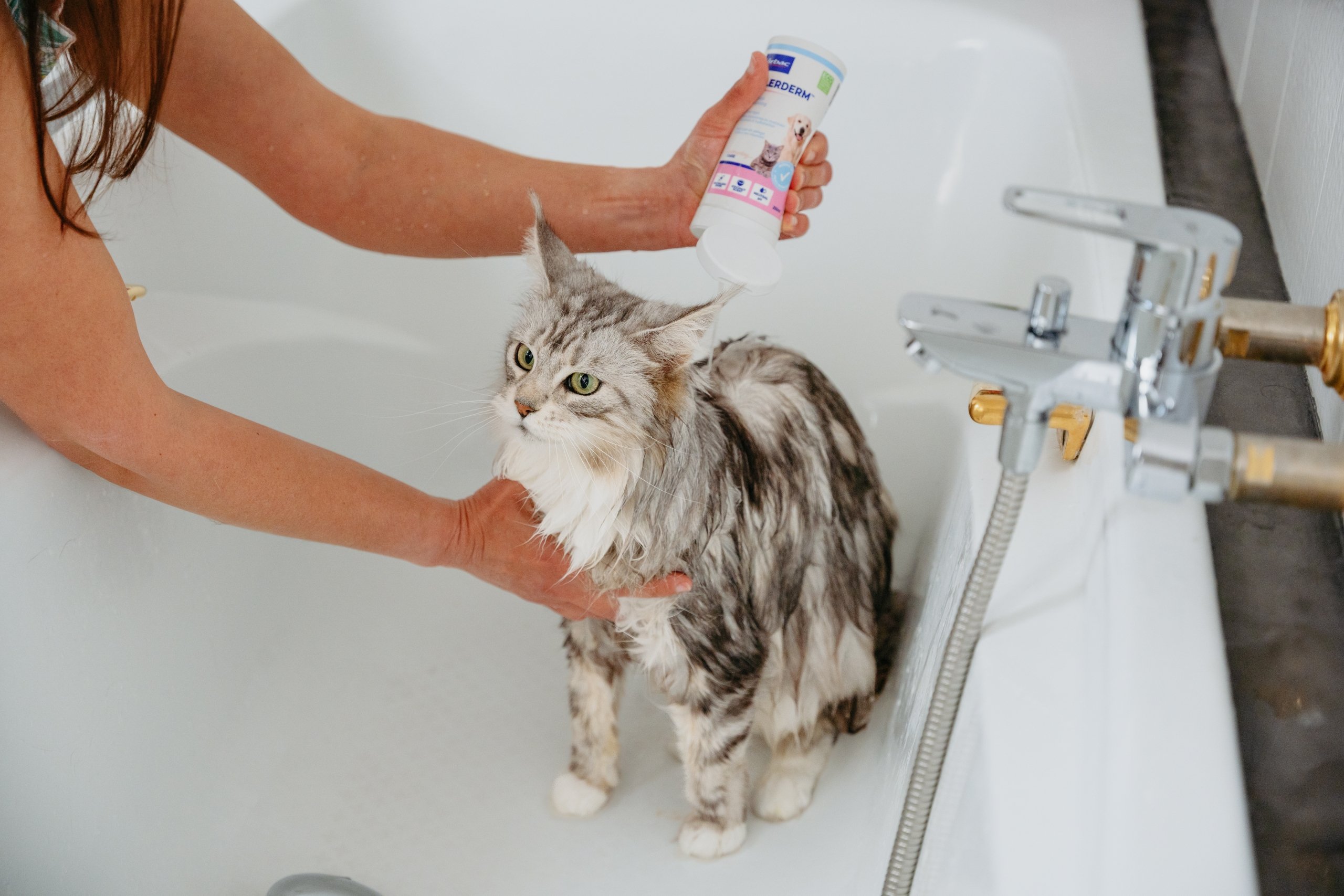 Allerderm Shampoo Sensitive