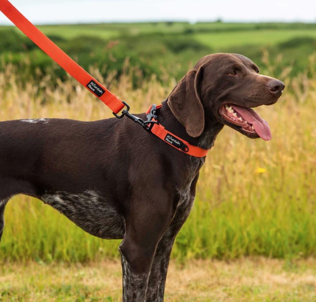 Extra Tough Dog Lead