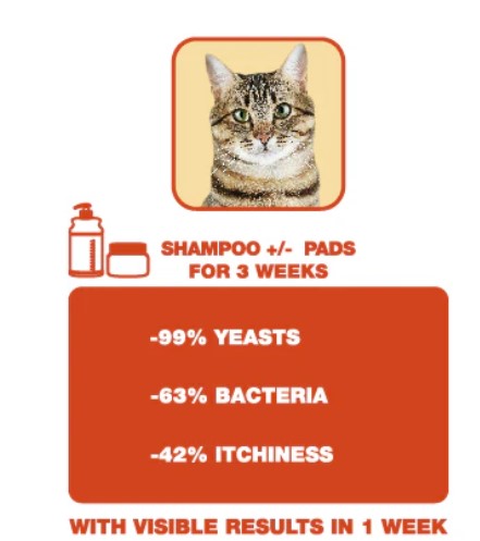 Douxo S3 Pyo Pads 30s