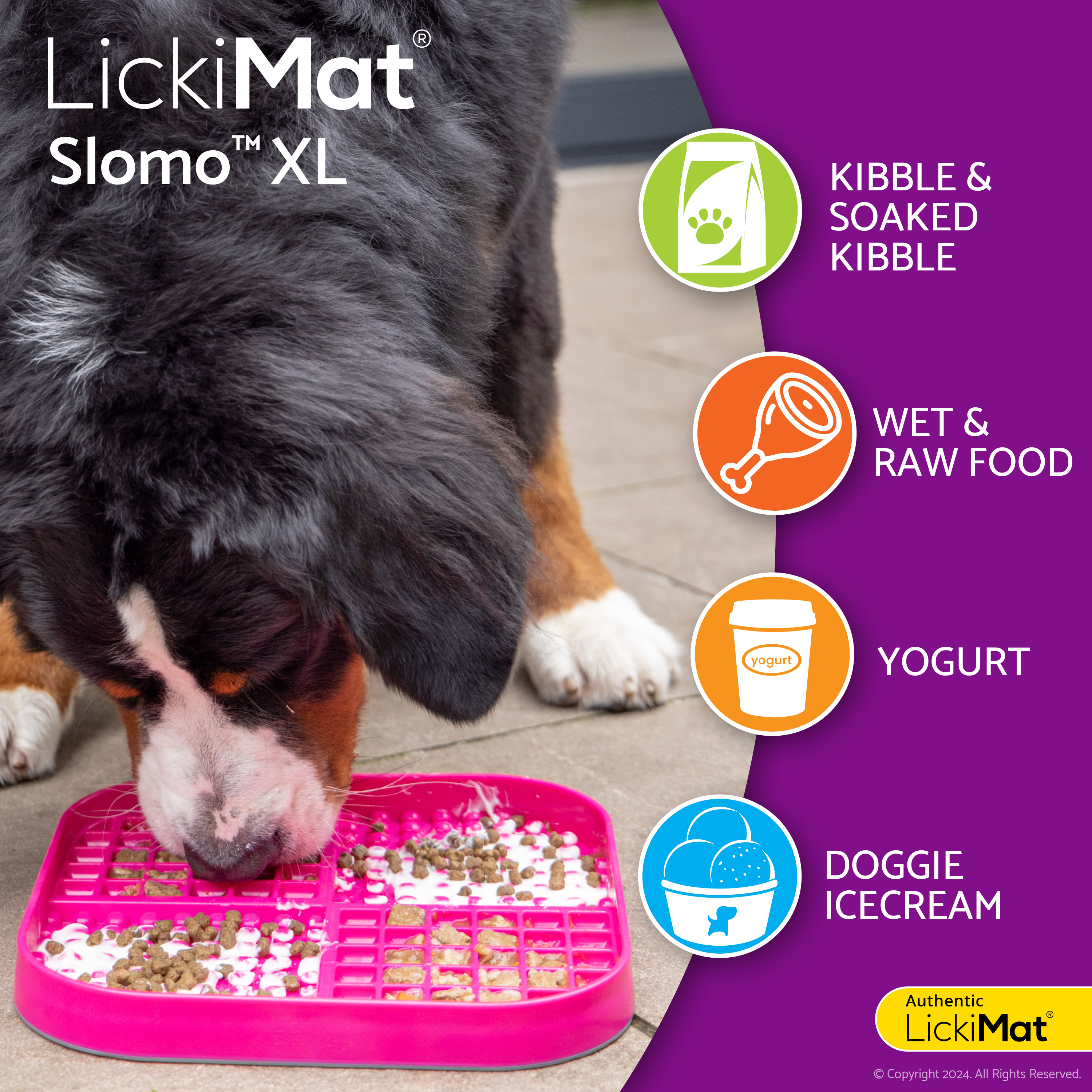 Slomo XL Dog Slow Feeder