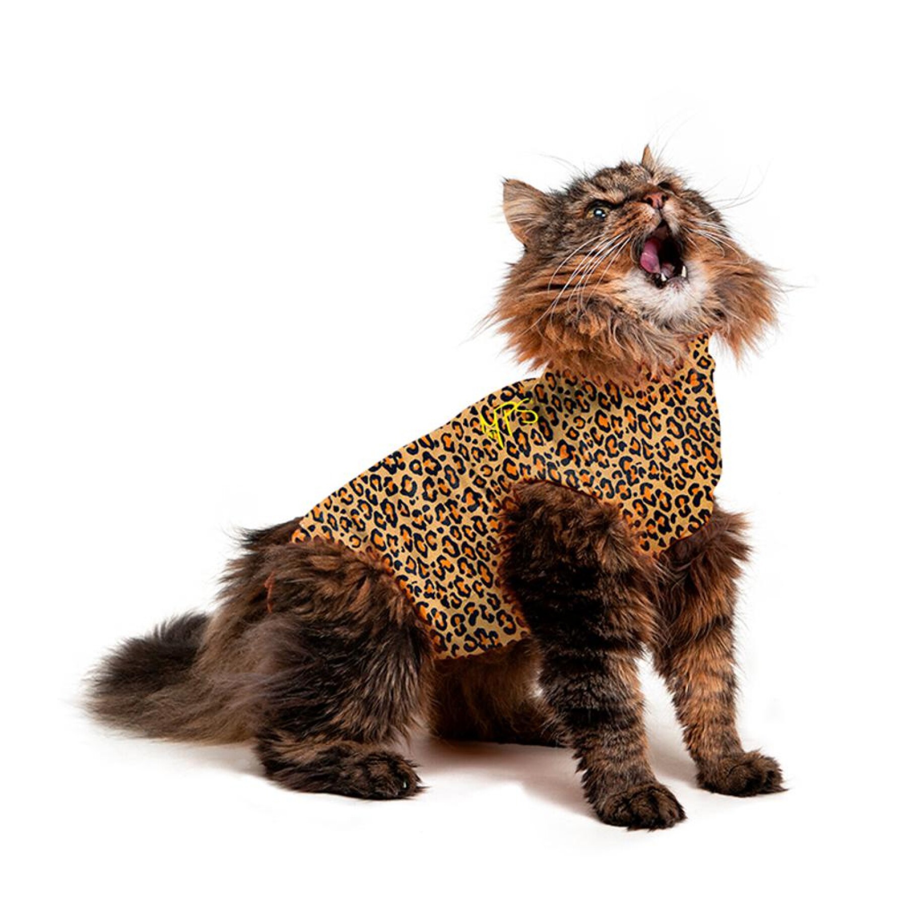 Medical Pet Shirts for Cats