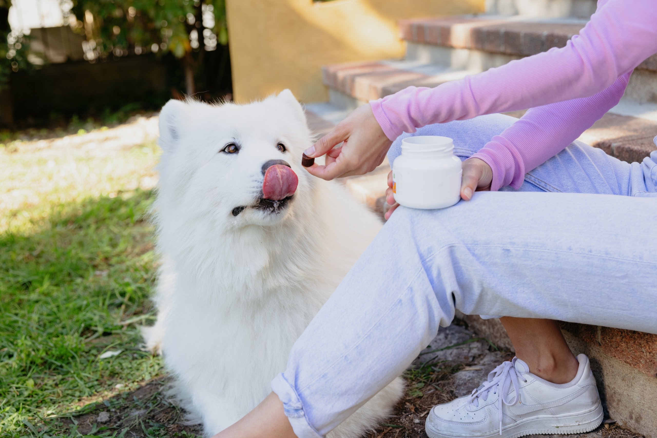 Movoflex Soft Chews DOGS