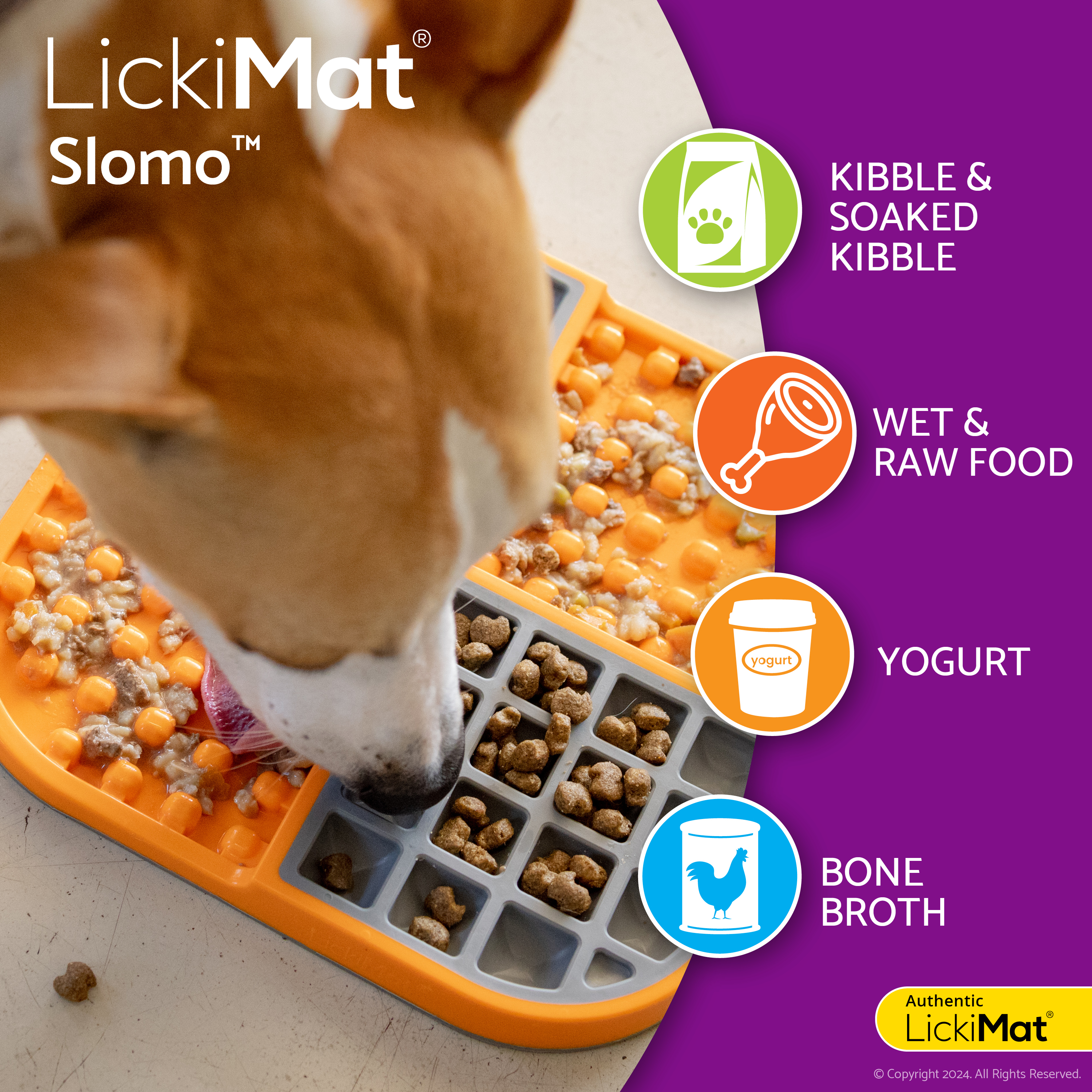 Slomo Dog