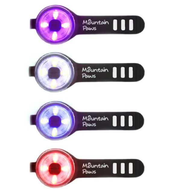 Dog Safety Light