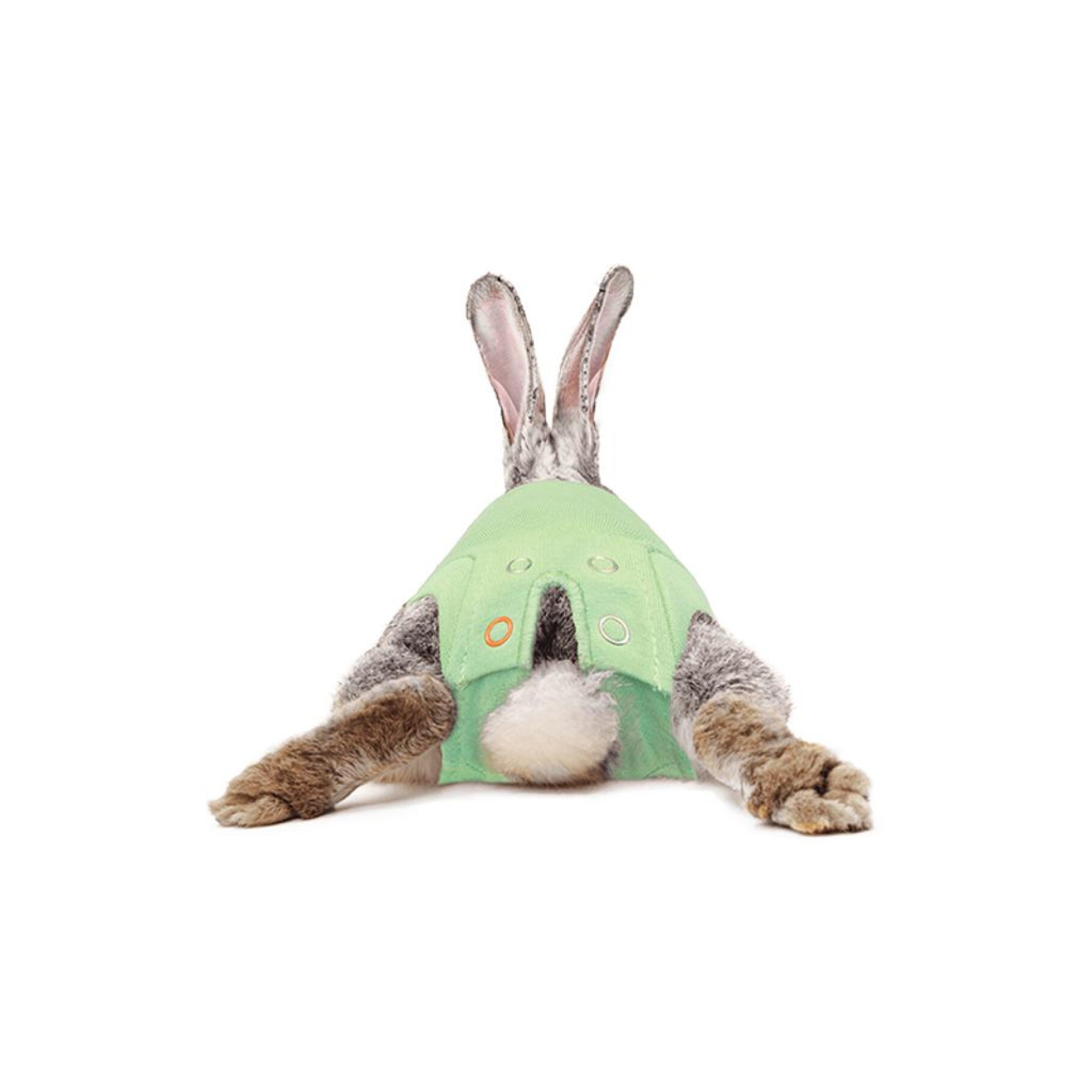Medical Pet Short for Rabbits