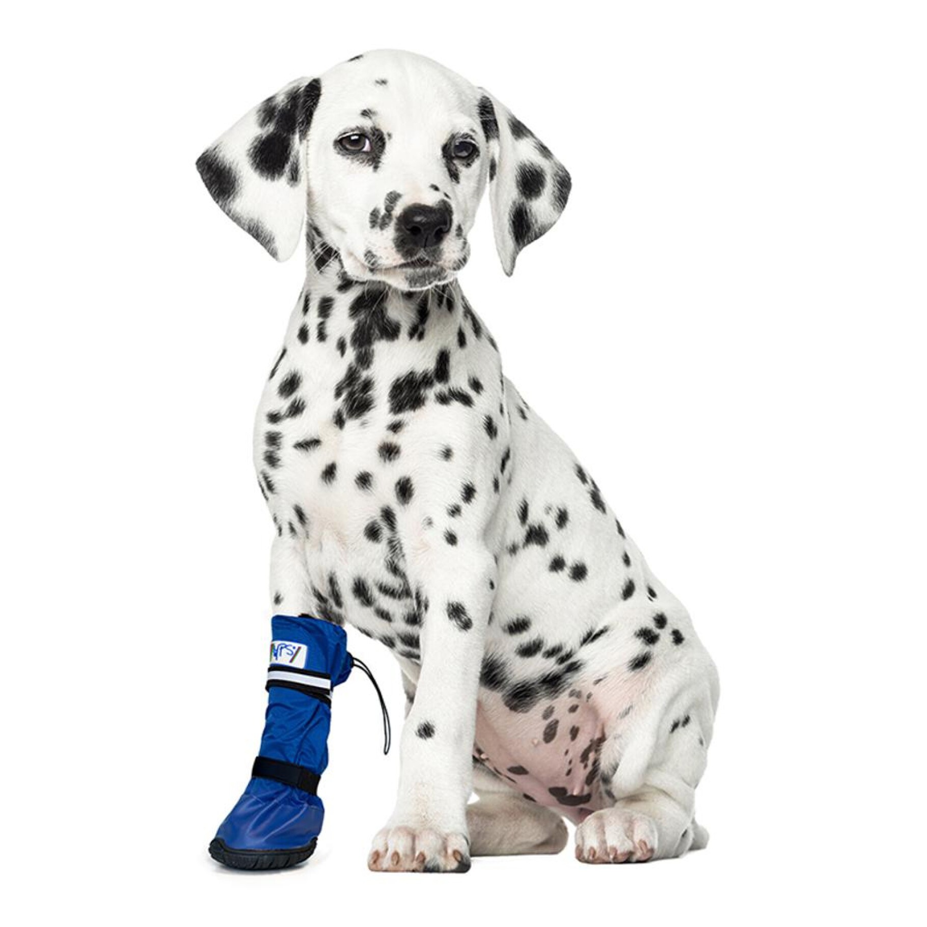 Medical PetS Boot