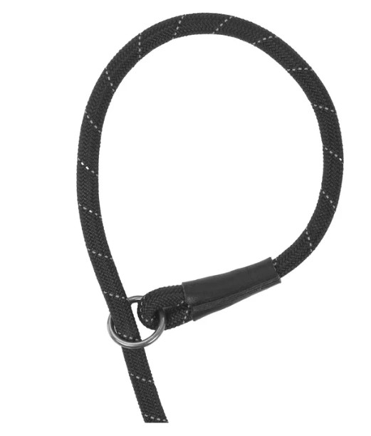 Dog Slip Lead