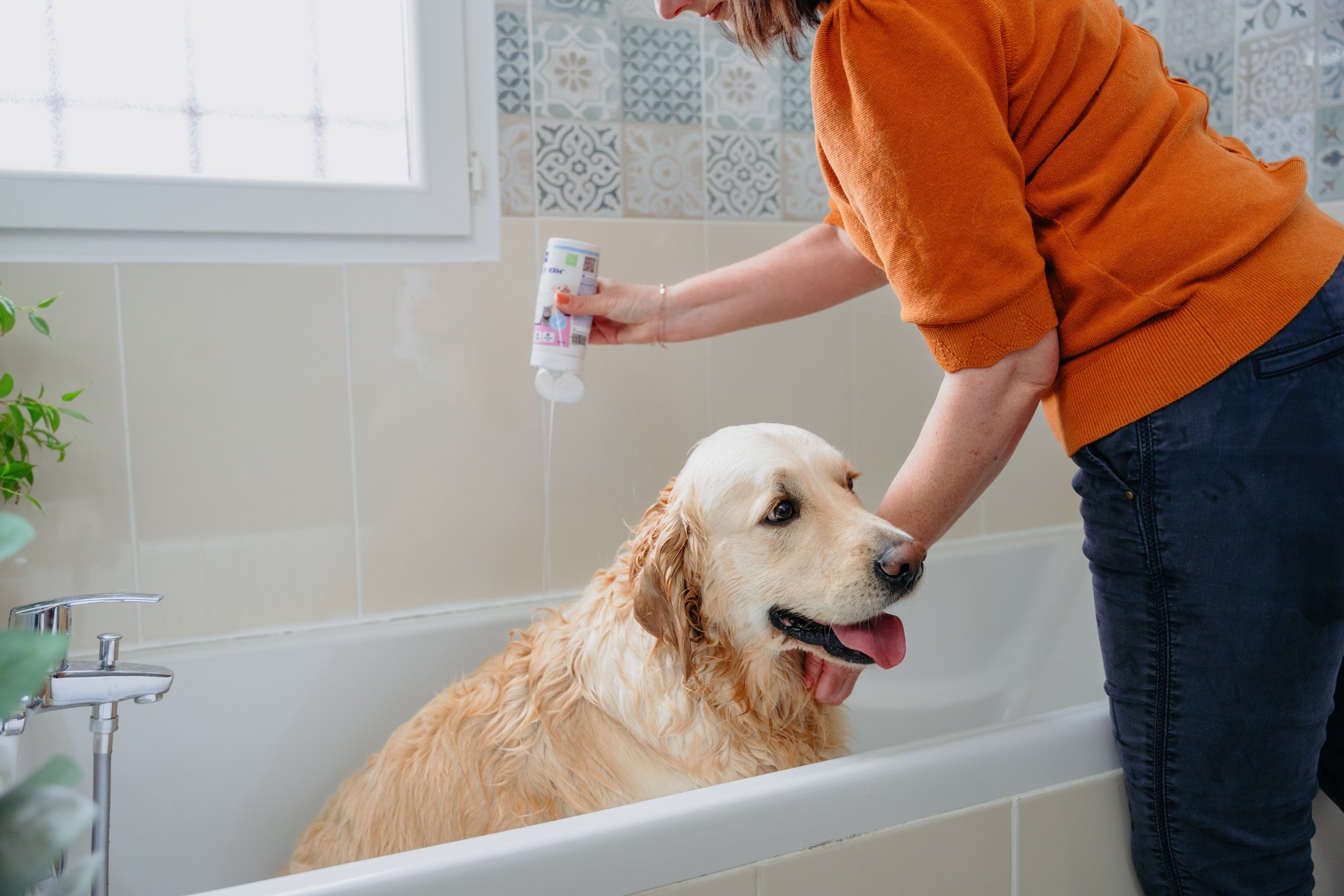 Allerderm Shampoo Dry/Scaly