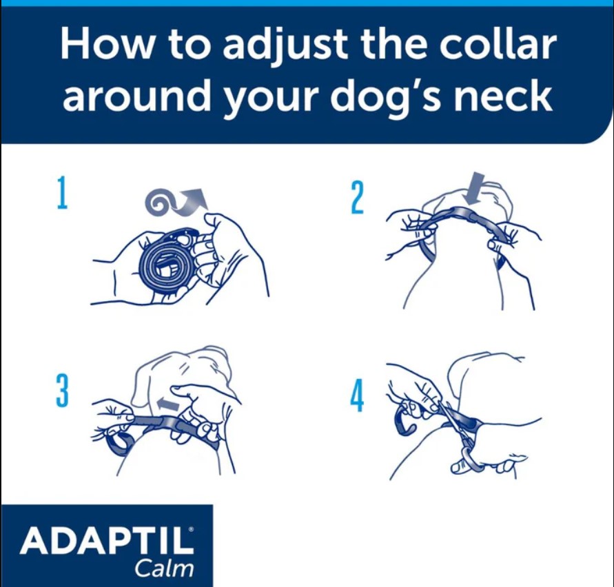 Adaptil Calm Collar