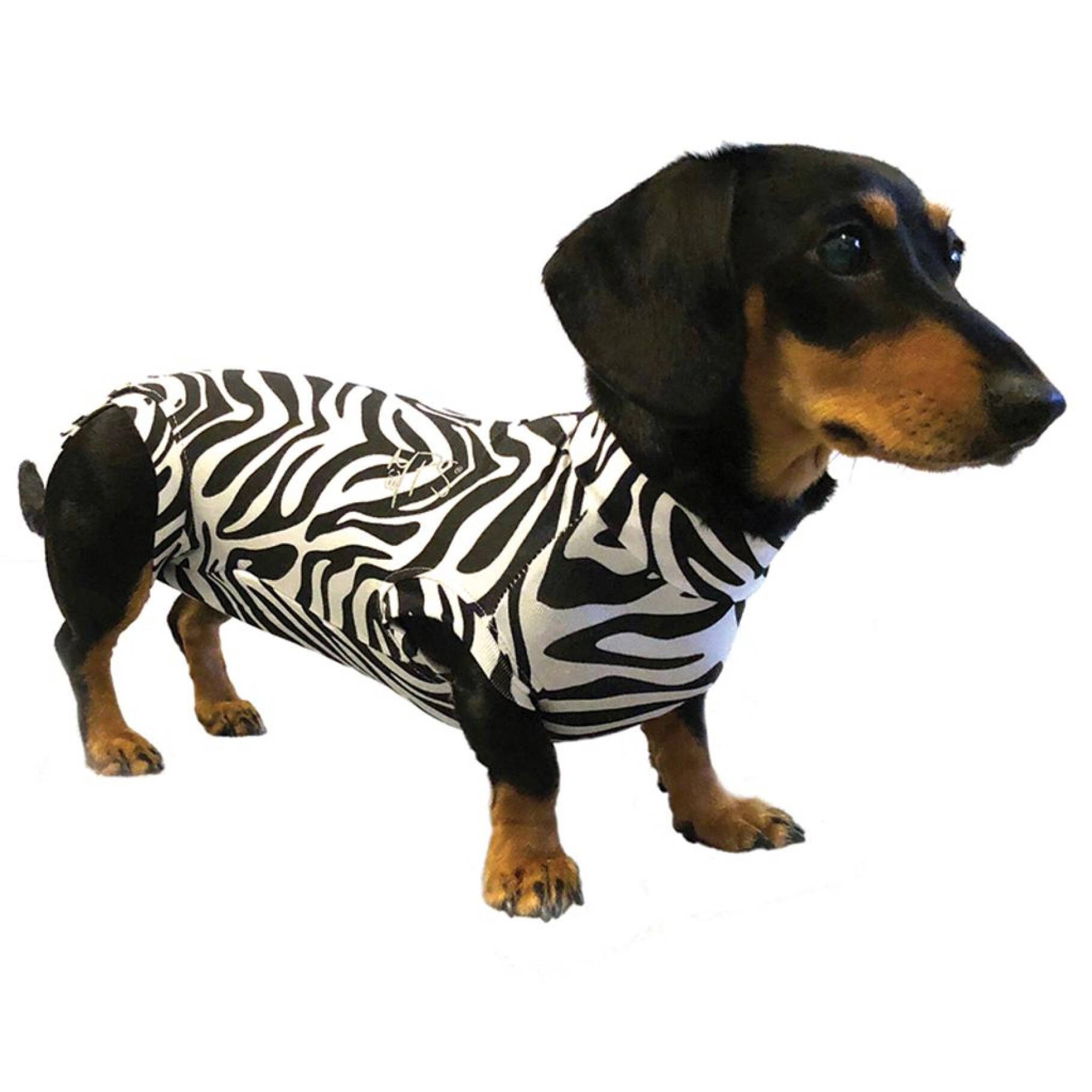 Medical Pet Shirt for Dogs