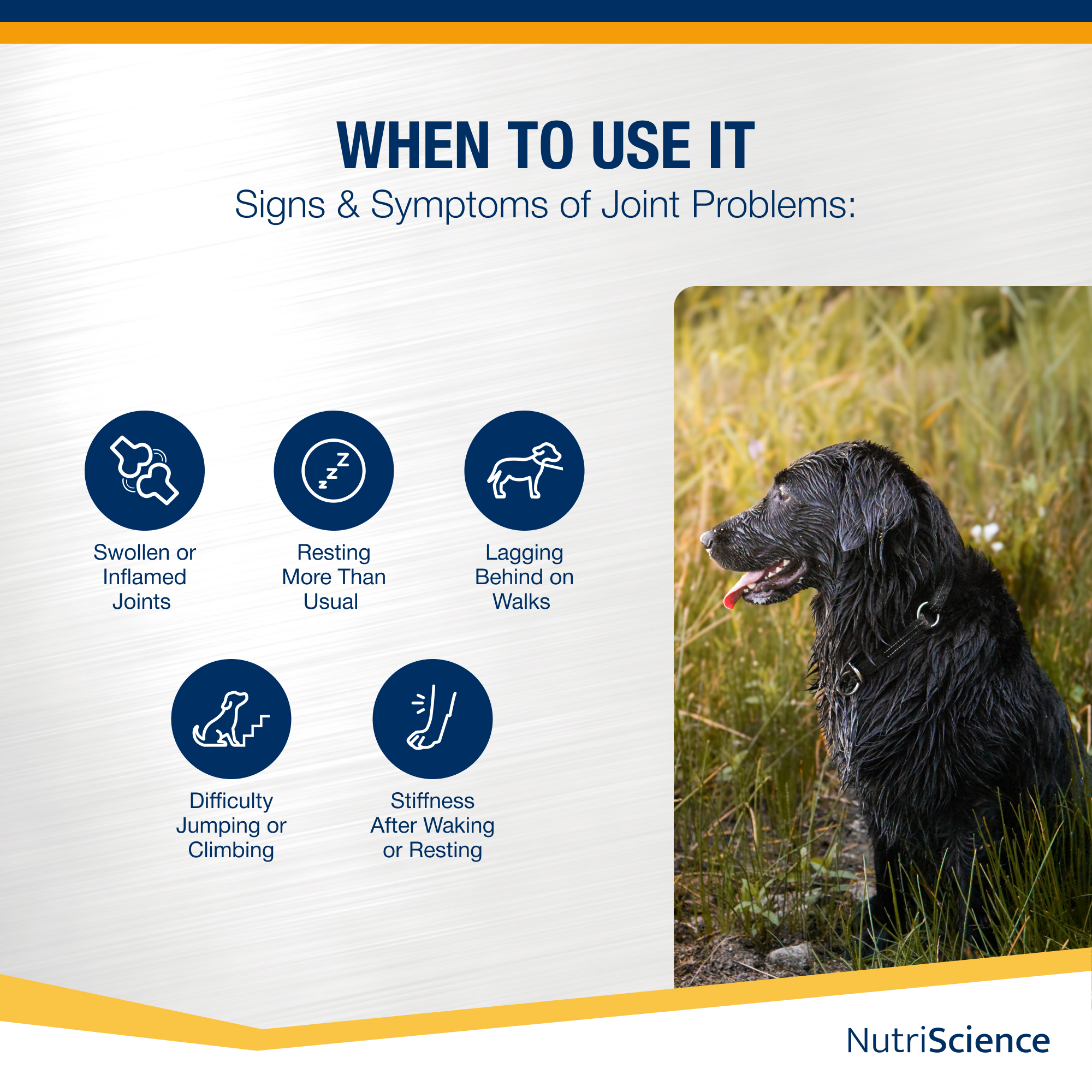 ArthriAid Omega 250ml