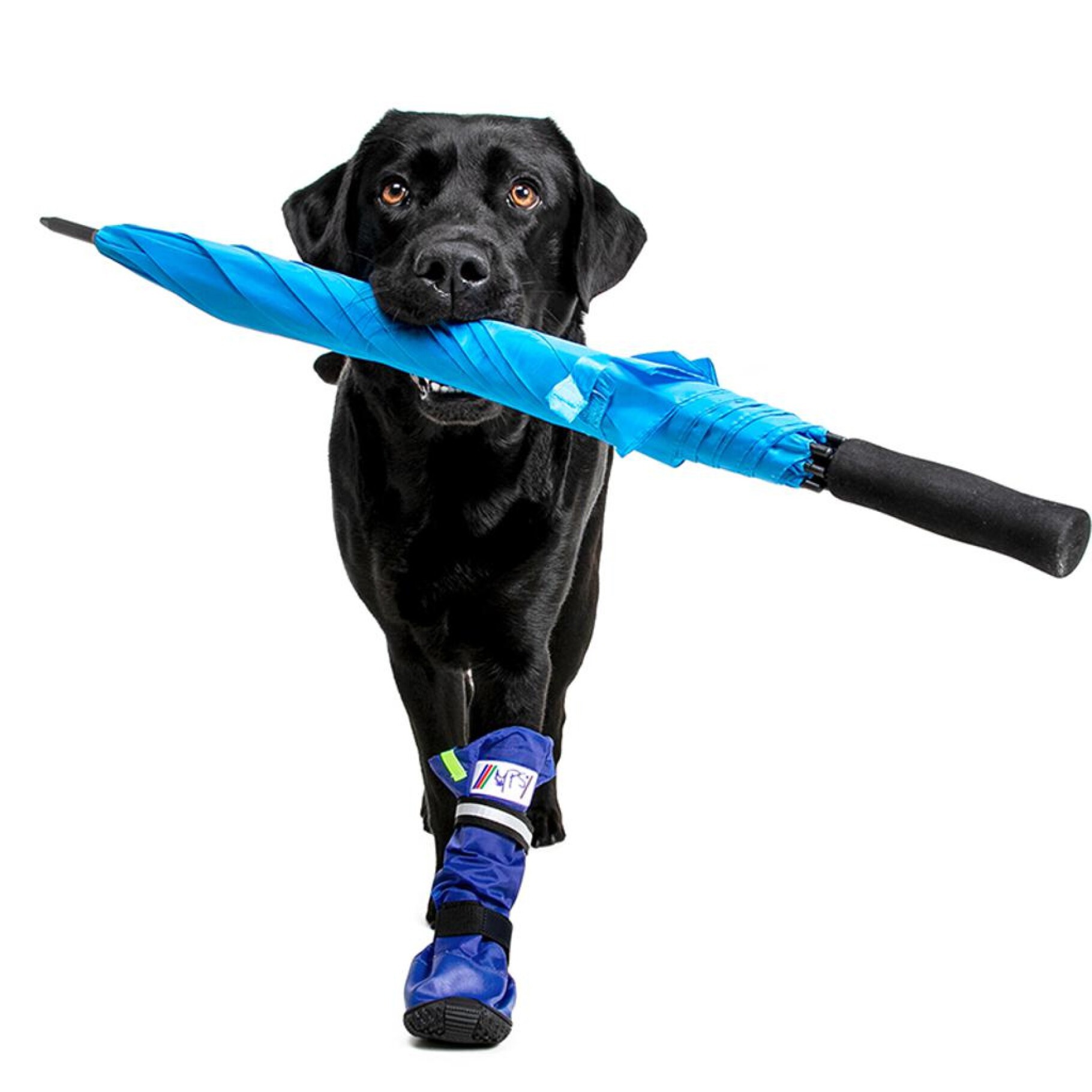 Medical PetS Boot