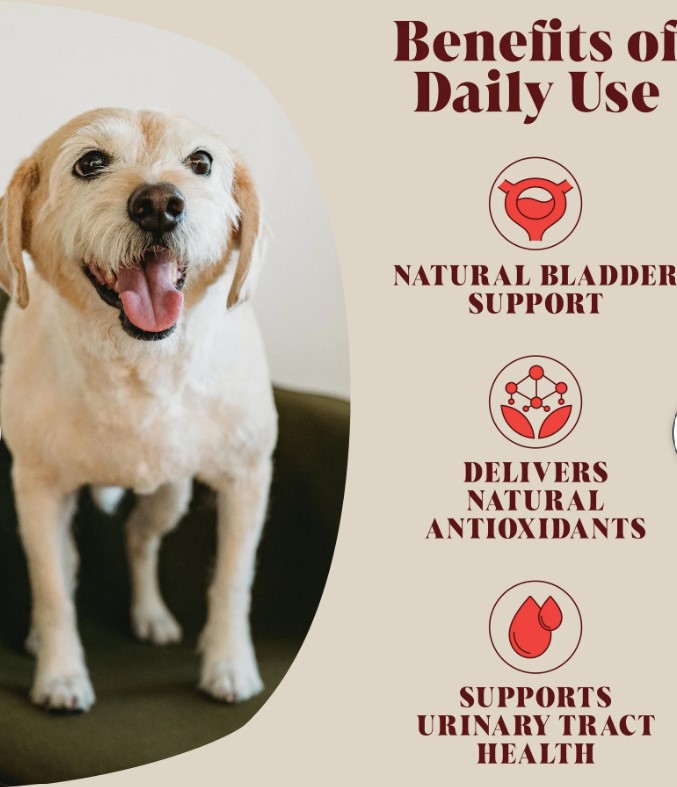 Urinary Cranberry