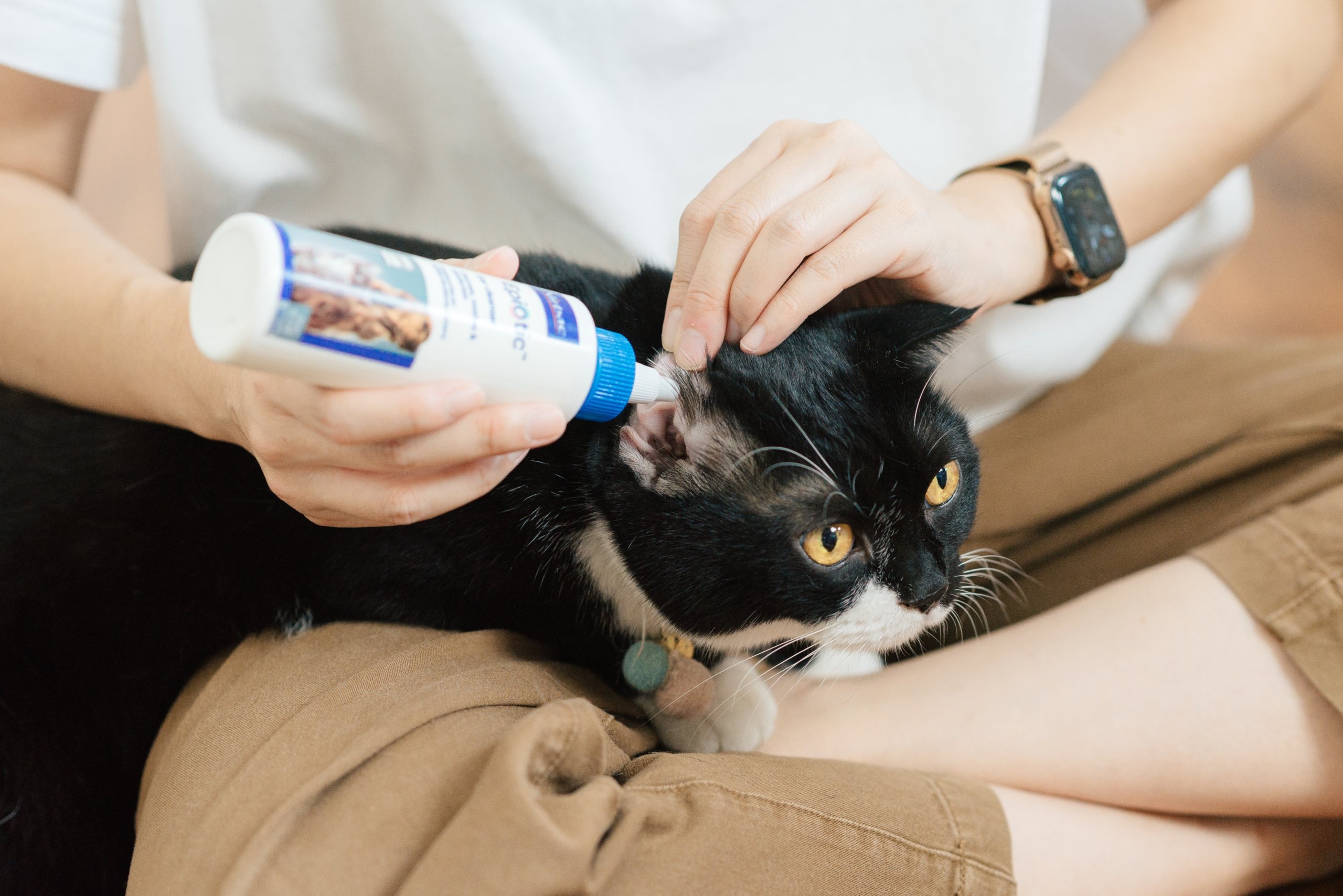 EpiOtic Ear Cleaner