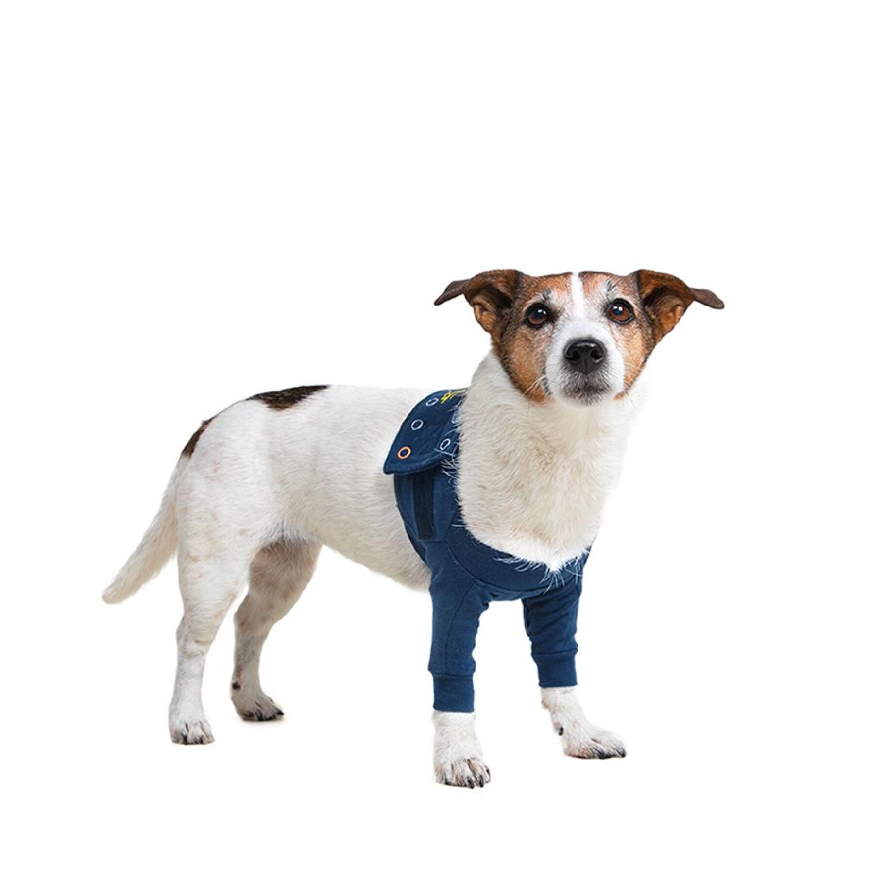 Protective Sleeve Double Front Leg  Dog