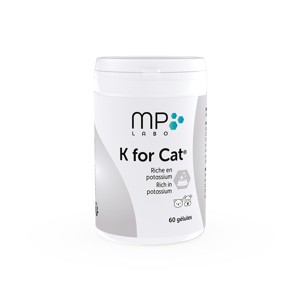 K for Cat 100g