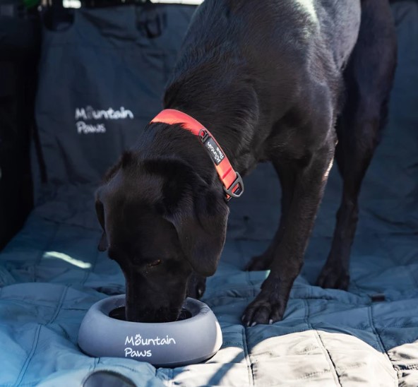 Splash proof Dog Bowl