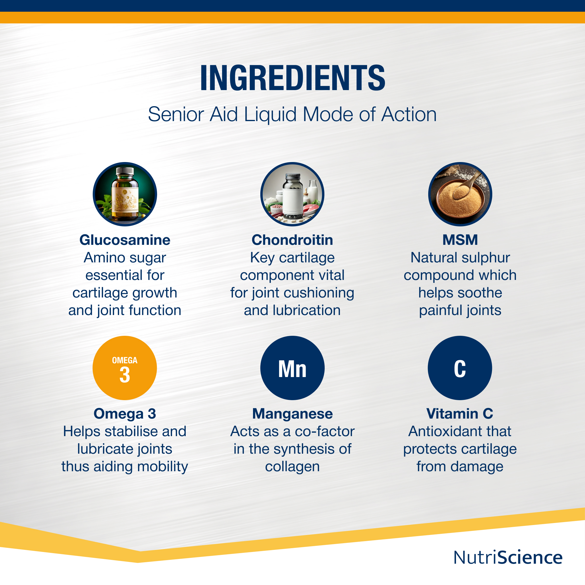 ArthriAid Omega 250ml