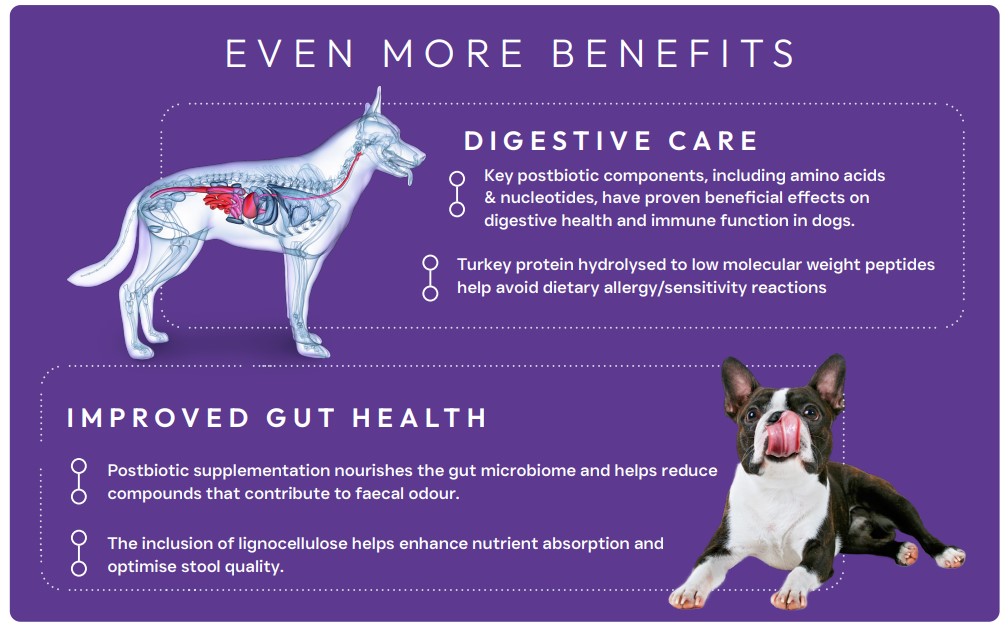 Peptide PLUS Gastrointestinal and Digestive Dog Food
