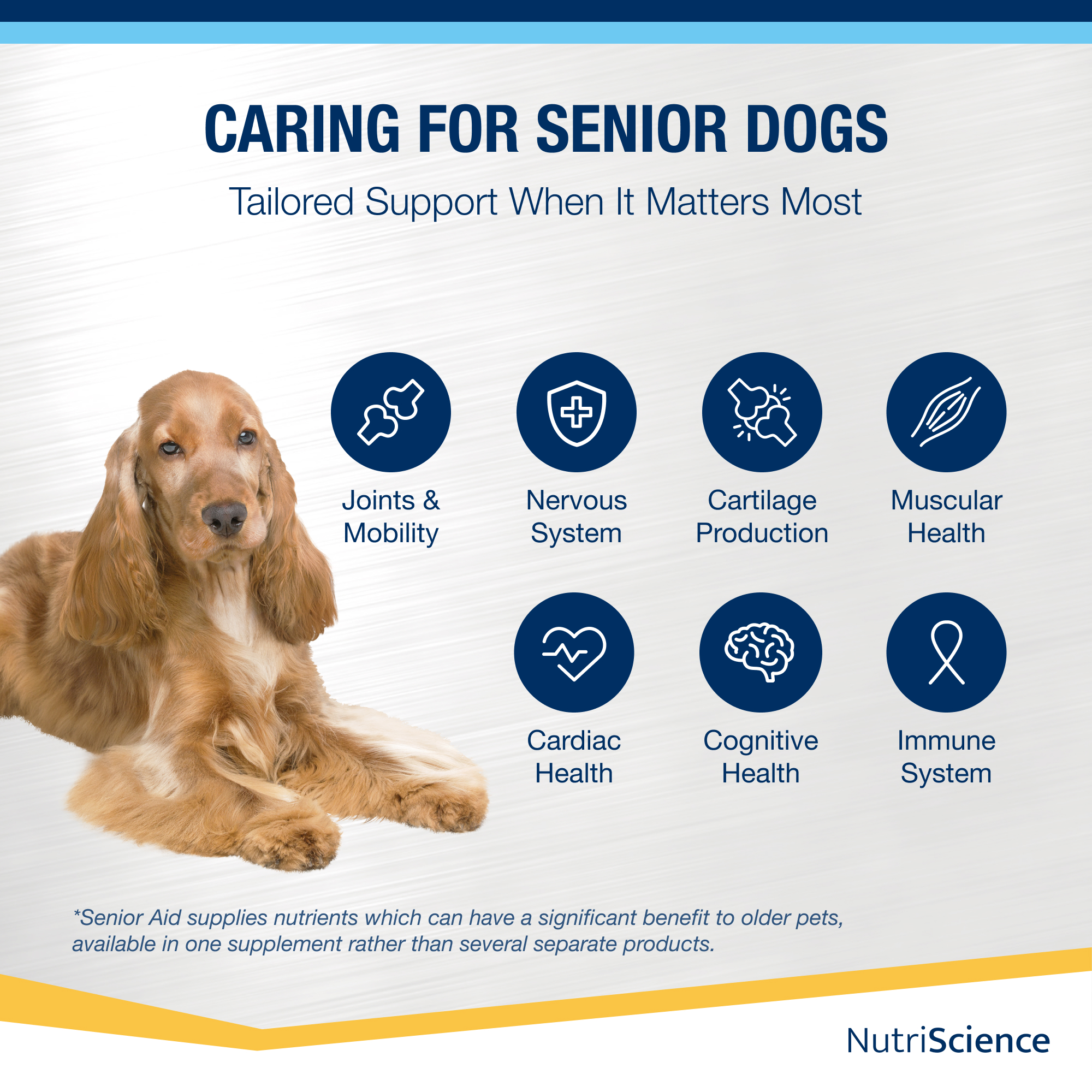 Senior Aid  50ml