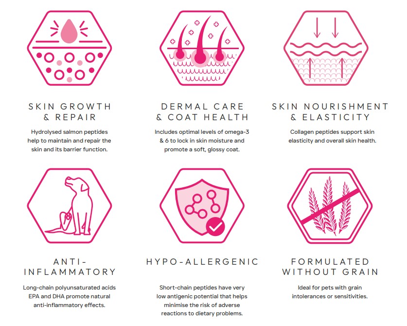 Peptide PLUS Skin and Coat care dog food