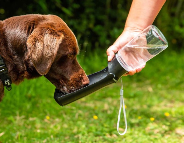 Folding Dog Water Bottle