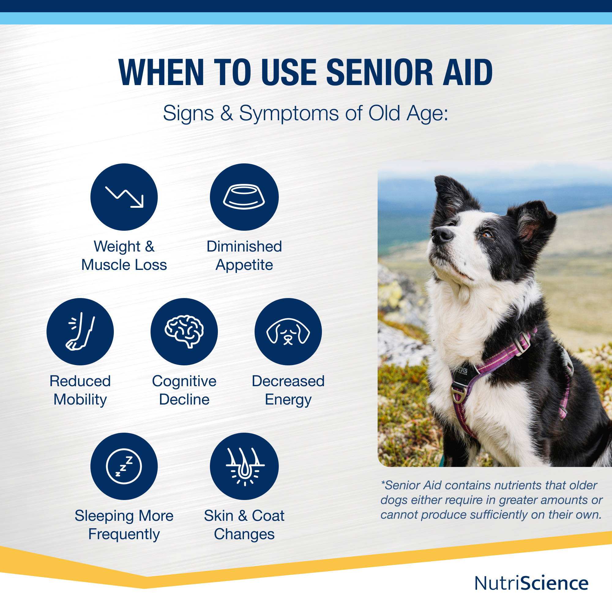 Senior Aid  50ml