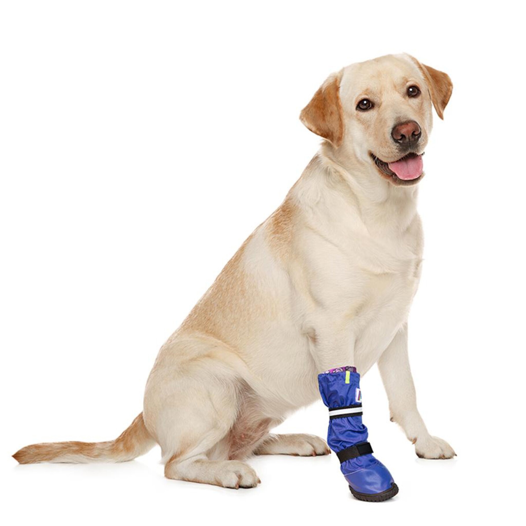 Medical PetS Boot