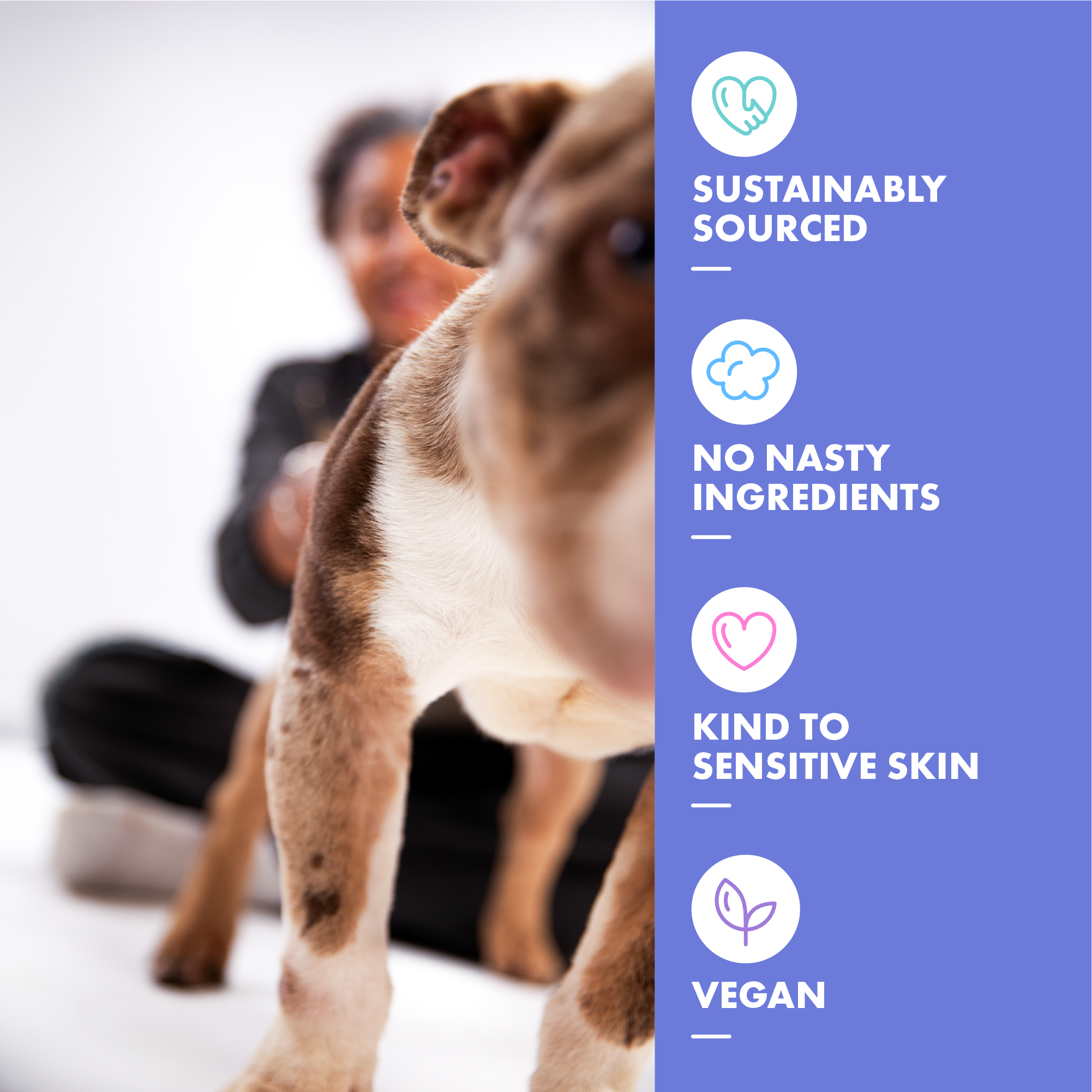 Curly Coat Conditioning Dog Shampoo