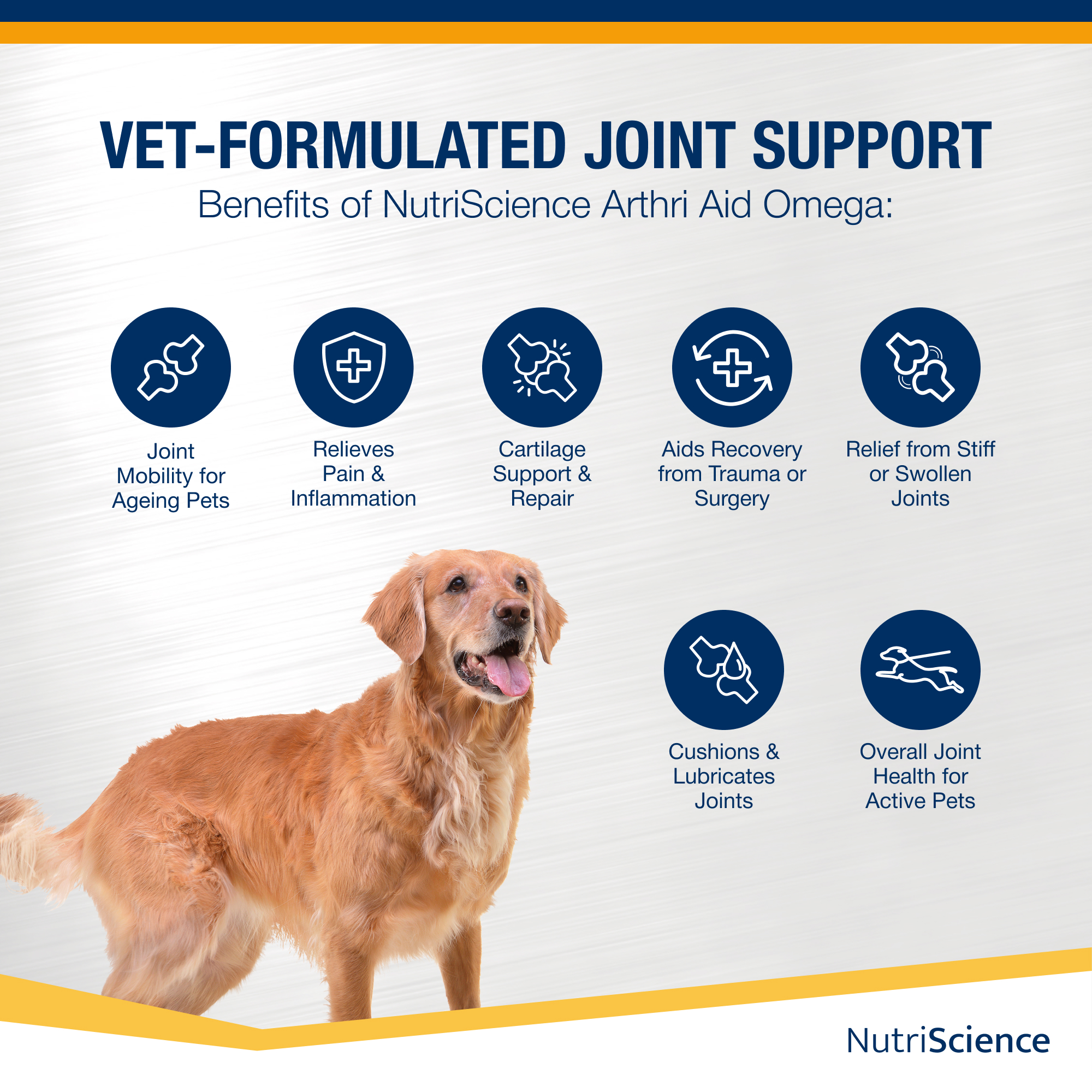 ArthriAid Omega 250ml