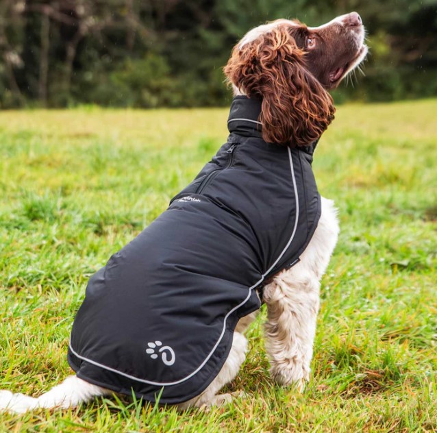 Fleece-Lined Dog Raincoat